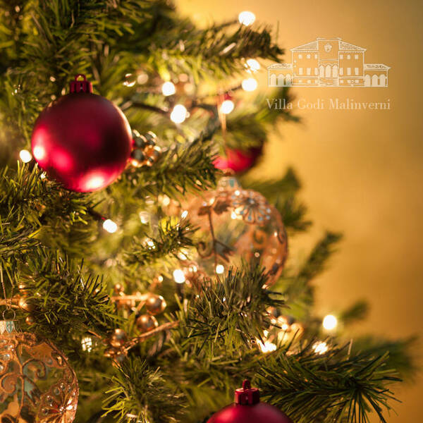 Pranzo di Natale 2025 - Ristorante Il Torchio Antico - c/o Villa Godi Malinverni - Lugo di Vicenza